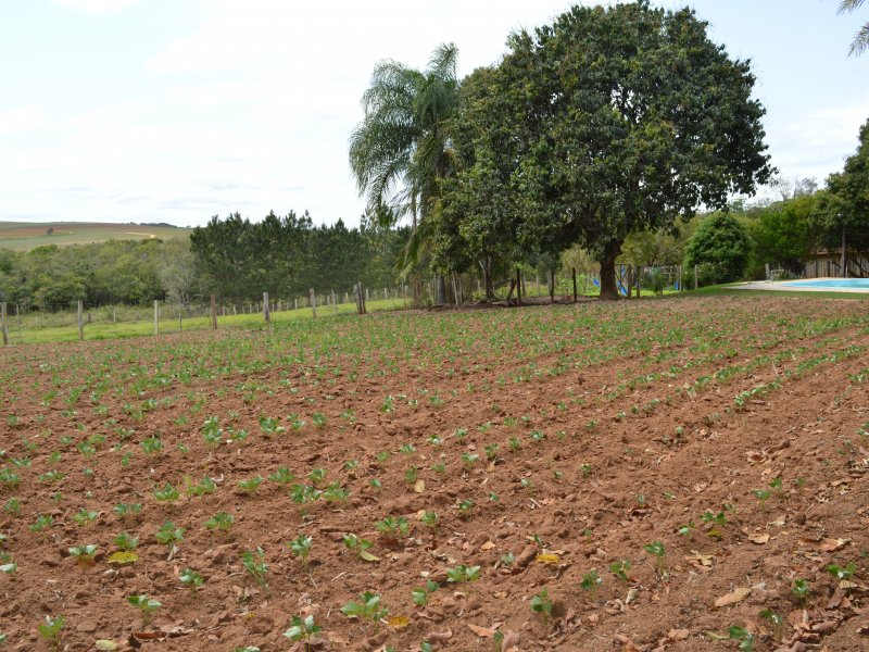 Chácara à venda cercado com 12m² e 3 quartos por R$ 550.000 - 553096519-dsc-6612.JPG