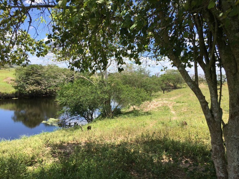 imóvel com 377666m² - Centro - Lagarto