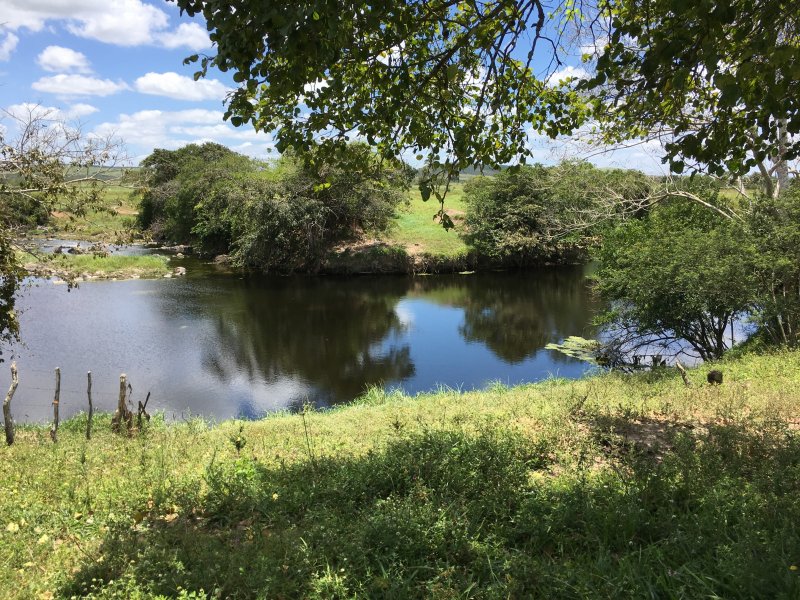 imóvel com 377666m² - Centro - Lagarto