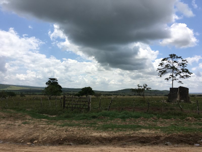 imóvel com 377666m² - Centro - Lagarto