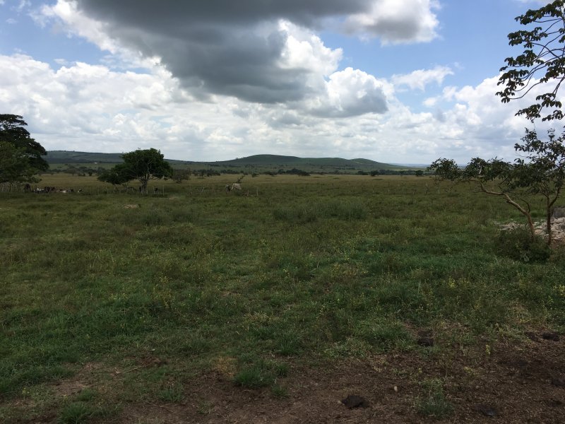 imóvel com 377666m² - Centro - Lagarto