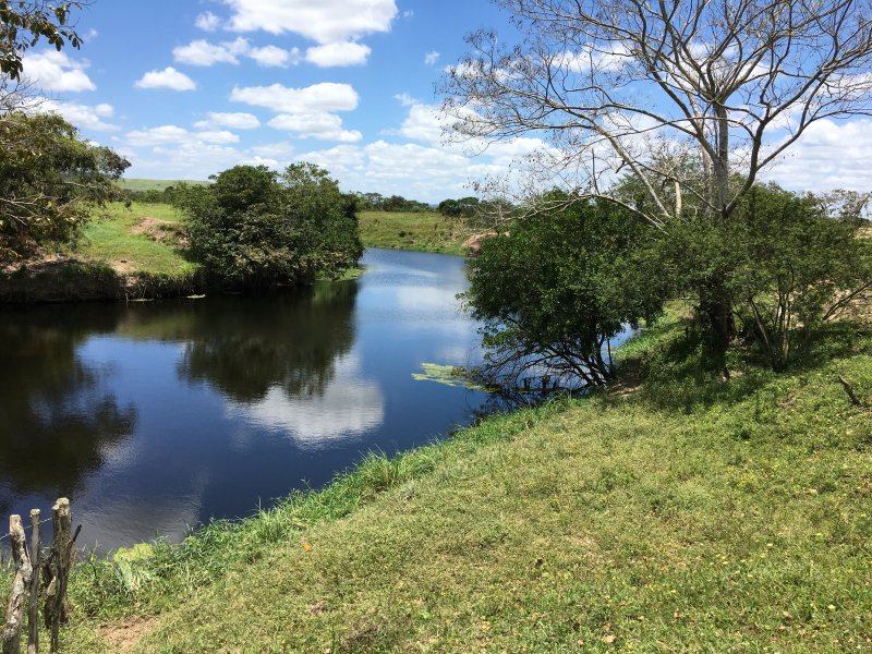 imóvel com 377666m² - Centro - Lagarto