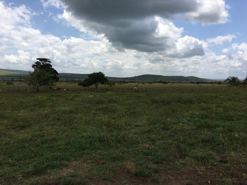 imóvel com 377666m² - Centro - Lagarto