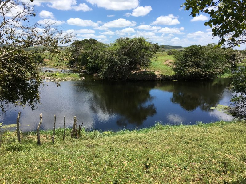 imóvel com 377666m² - Centro - Lagarto