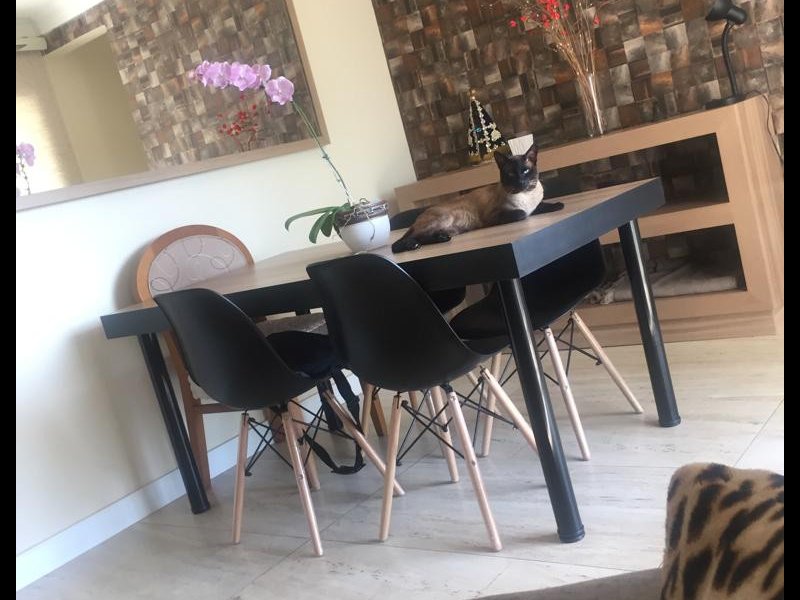 Apartamento à venda Vila Albertina com 93m² e 3 quartos por R$ 650.000 - 315631216-71db5c3b-bb18-44ef-9fdf-24b3927baba6.JPG