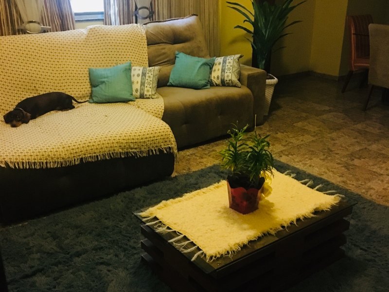 Apartamento à venda Quintino Bocaiúva com 55m² e 2 quartos por R$ 230.000 - 410971842-00ebe18b-6521-43d4-8166-b046d0bc8b0d.jpeg