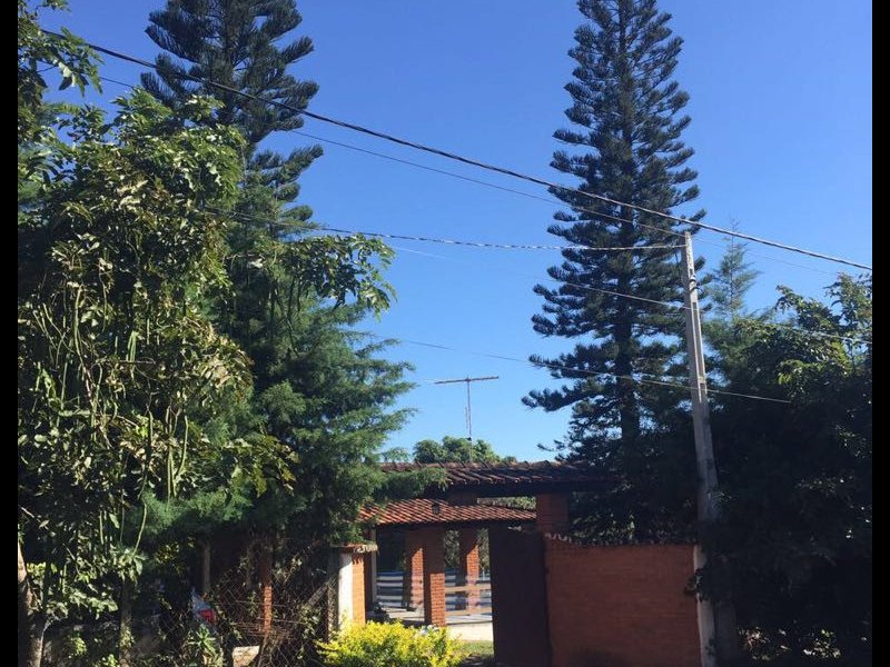 Chácara à venda centro com 5000m² e 2 quartos por R$ 850.000 - 574459613-chacara-17.jpeg