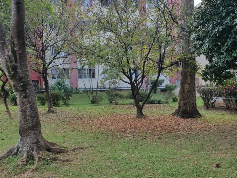 imóvel com 87m² - Ipiranga  - São Paulo