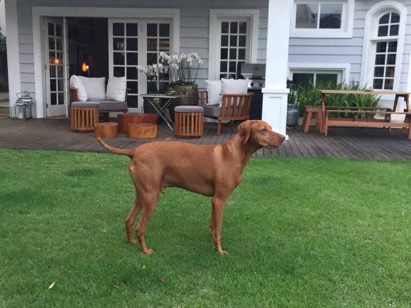 Casa à venda Morumbi com 420m² e 3 quartos por R$ 2.900.000 - 754451801-8c420557-4222-45d2-b6f7-f5d110f2290b.jpeg