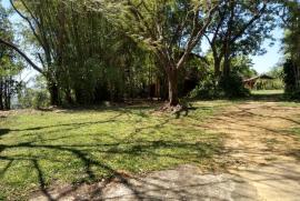 Chácara à venda Penedo com 10m² - 4 dormitórios -  vagas - R$ 2.000.000 - 1035136286-whatsapp-image-2019-10-14-at-17.jpeg