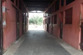 Chácara à venda Penedo com 10m² - 4 dormitórios -  vagas - R$ 2.000.000 - 2000490644-whatsapp-image-2019-10-14-at-17.jpeg