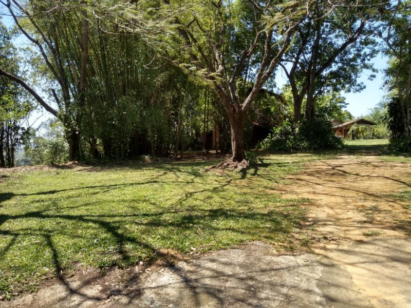Chácara à venda Penedo com 10m² e 4 quartos por R$ 2.000.000 - 1035136286-whatsapp-image-2019-10-14-at-17.jpeg
