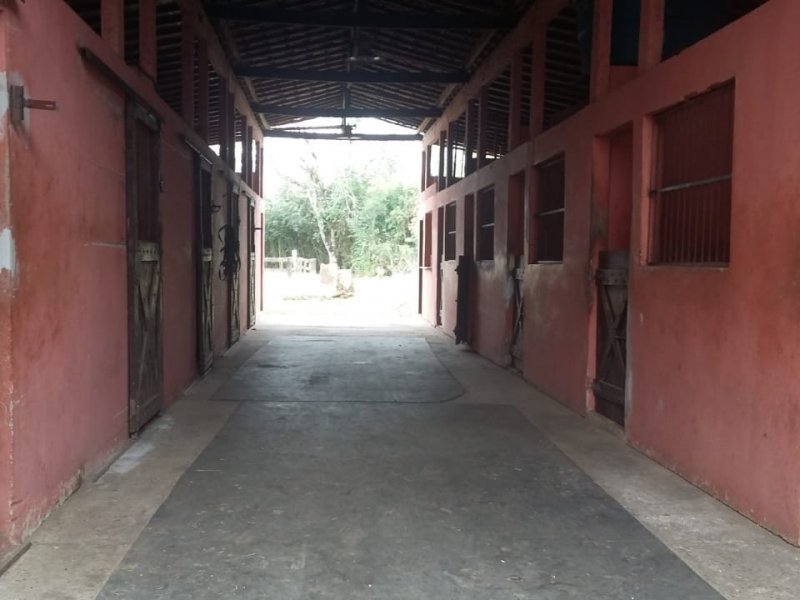 Chácara à venda Penedo com 10m² e 4 quartos por R$ 2.000.000 - 2000490644-whatsapp-image-2019-10-14-at-17.jpeg