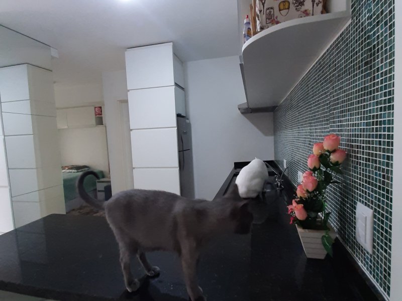 Apartamento à venda Centro com 33m² e 1 quarto por R$ 265.000 - 854204140-20191015-110128.jpg