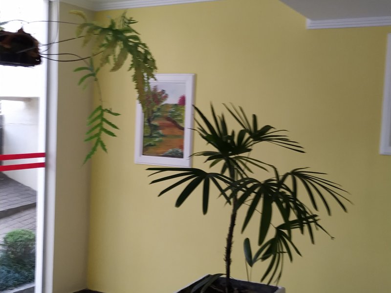 Apartamento à venda Jardim Umarizal com 50m² e 2 quartos por R$ 220.000 - 315545392-img-20190912-110727.jpg