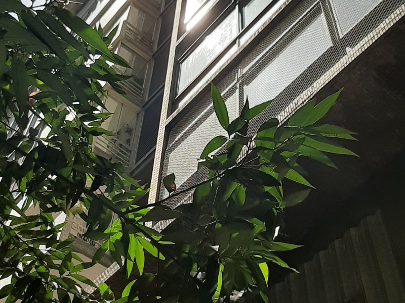 Apartamento à venda República com 320m² e 3 quartos por R$ 2.950.000 - 258081535-20191010-125658.jpg