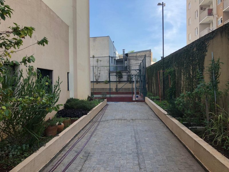 Apartamento à venda Vila São Paulo com 64m² e 2 quartos por R$ 370.000 - 589672190-whatsapp-image-2019-08-09-at-14.jpeg