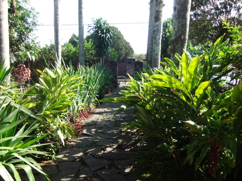 Casa à venda Jardim dos Pinheiros com 250m² e 2 quartos por R$ 750.000 - 1001006221-dscf4551.JPG