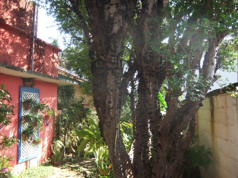 Casa à venda Jardim dos Pinheiros com 250m² e 2 quartos por R$ 750.000 - 1654582502-dscf4576.JPG