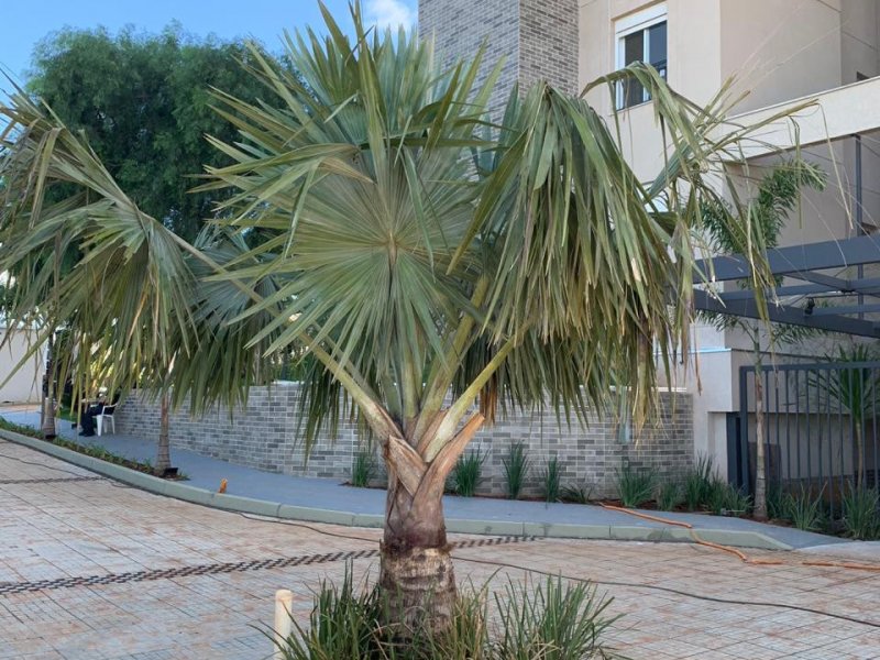 Apartamento à venda Centro com 108m² e 3 quartos por R$ 520.000 - 1065941068-dcebcc31-7535-454b-be6f-7152942160fc.jpeg