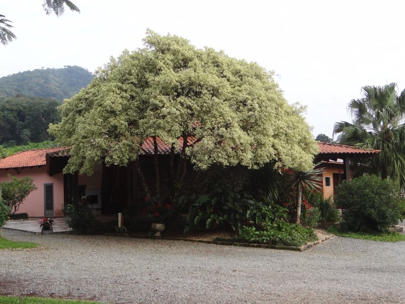 Casa à venda Vieira com 548m² e 5 quartos por R$ 14.000.000 - 1551209171-dsc06054.JPG