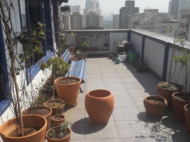 imóvel com 80m² - Campos Elíseos - São Paulo