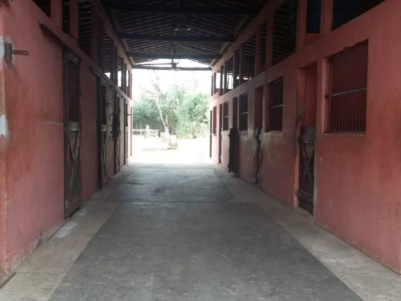 Chácara à venda Penedo com 12m² e 3 quartos por R$ 2.400.000 - 271835489-img-20180703-wa0044.jpg