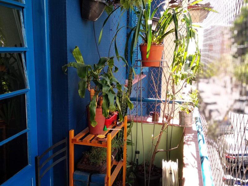 Apartamento à venda Aclimação com 70m² e 2 quartos por R$ 470.000 - 595760597-img-20190815-093730.jpg