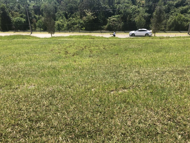 Terreno à venda Centro com 1008m² e  quartos por R$ 220.000 - 401991325-1b6d1fde-8684-4b0c-9133-dd8aa59dde2c.jpeg