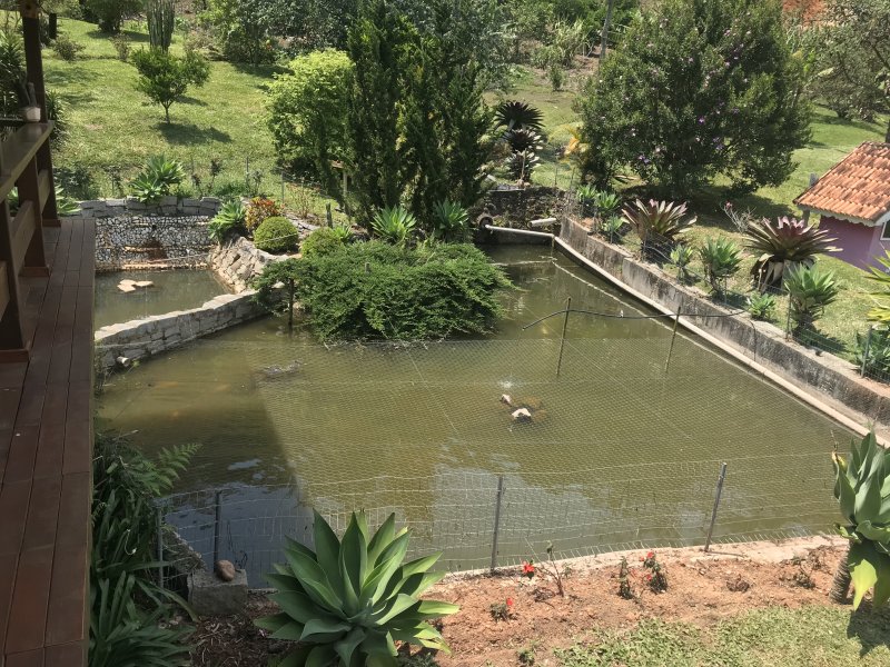 imóvel com 11936m² - Campo do Coelho - Nova Friburgo