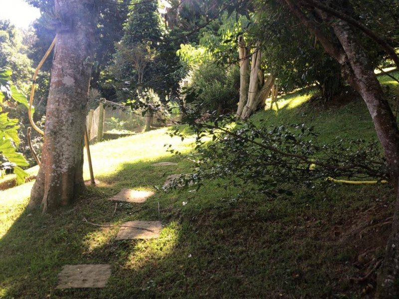 Casa à venda Parque do Imbui com 2000m² e 4 quartos por R$ 820.000 - 1398962725-246454f2-06bd-4ee5-829f-9cd145f6c8c7.jpeg