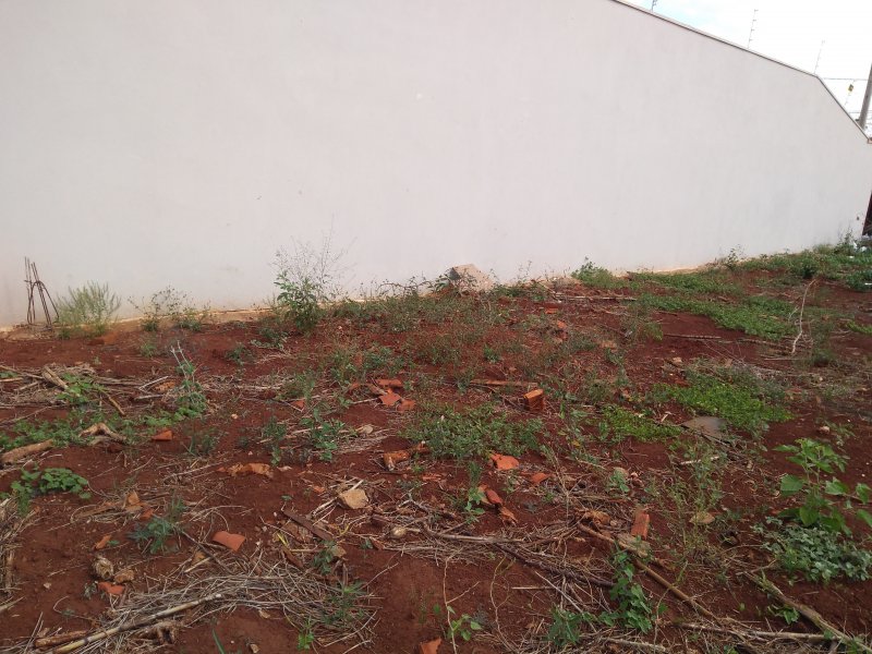 Terreno à venda Centro com 251m² e  quartos por R$ 110 - 361046238-img-20191017-151739.jpg