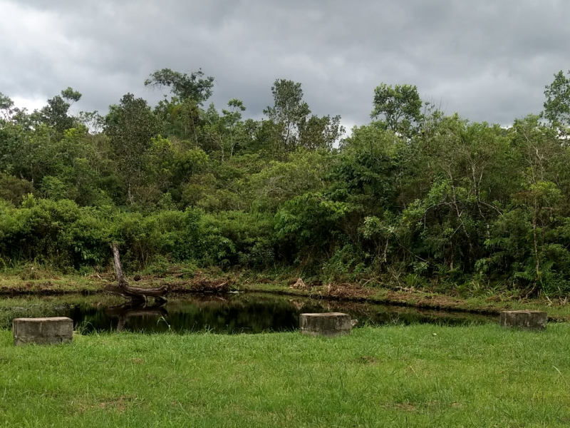 Chácara à venda Centro com 5m² e 1 quarto por R$ 95.000 - 1566852519-screenshot-20191022-140636.png