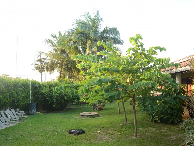 Casa à venda Parque Santo antonio com 5000m² e 19 quartos por R$ 3.000.000 - 1078467530-9.JPG