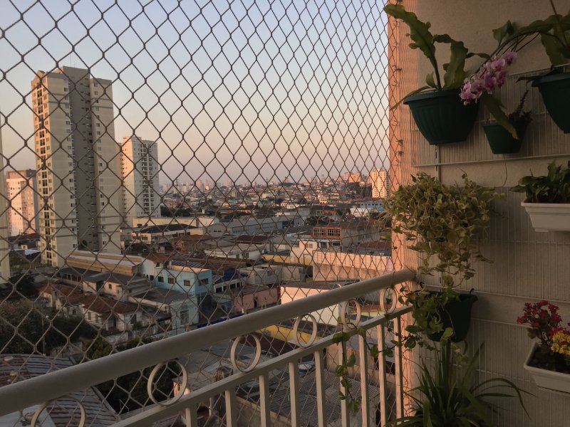 Apartamento à venda Limão com 70m² e 3 quartos por R$ 420.000 - 1688695419-img-2545.jpg