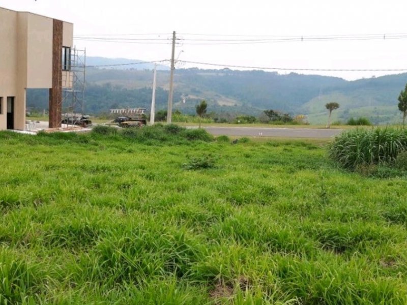 Terreno à venda Centro com 800m² e  quartos por R$ 550.000 - 962537451-screenshot-20191021-101805-ingaia-imob.jpg