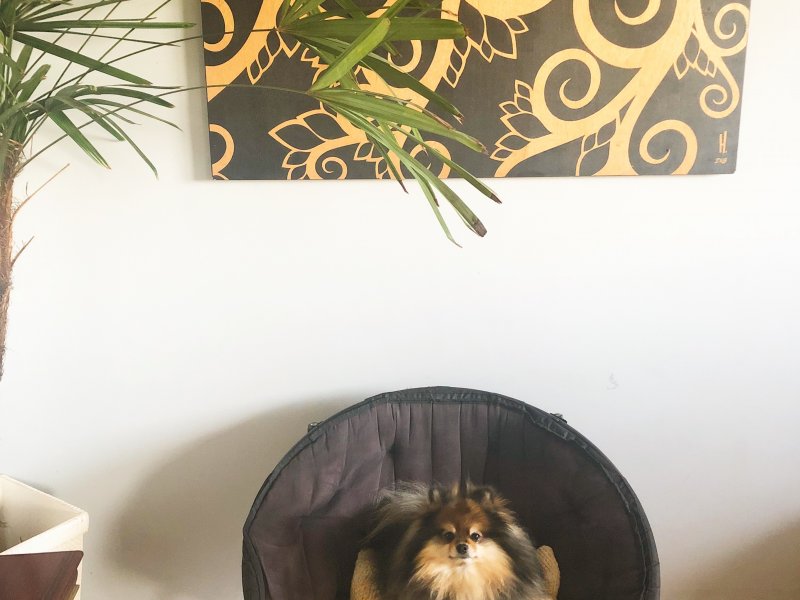 Apartamento à venda Centro Histórico com 174m² e 3 quartos por R$ 550.000 - 1375227442-15df5b47-d8ed-423a-9d1d-4915ac56e292.jpeg