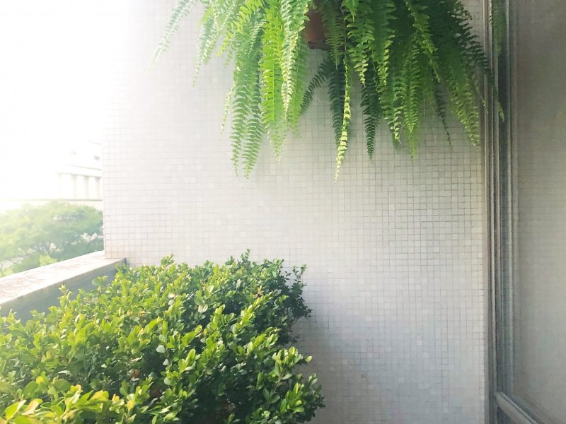 Apartamento à venda Centro Histórico com 174m² e 3 quartos por R$ 550.000 - 14083339-ea44aa8a-10c4-47da-9992-01f69ff7f8fe.jpeg