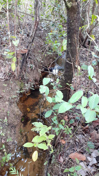 Terreno à venda Centro com 682m² e 1 quarto por R$ 190.000 - 737503601-f3e519f3-55cd-4a98-aa8c-ab5649d10b79.jpeg