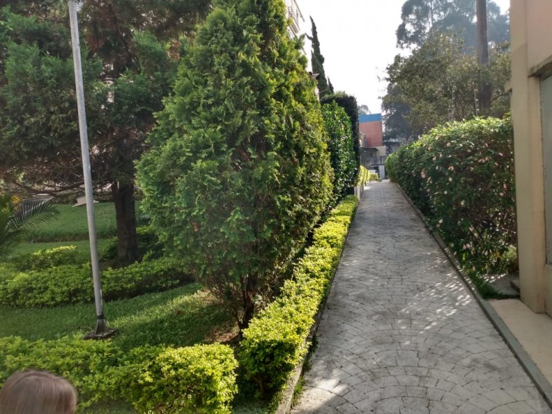 Apartamento à venda Santa Teresinha com 62m² e 3 quartos por R$ 235.000 - 251225275-whatsapp-image-2019-05-02-at-09.jpeg