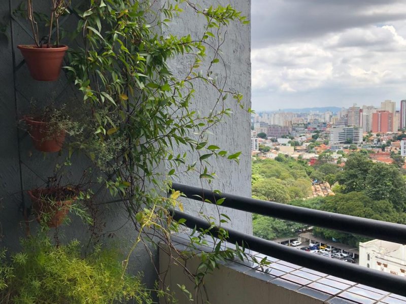 Apartamento à venda Alto de Pinheiros com 49m² e 1 quarto por R$ 670.000 - 353088172-bfjg5589.JPG