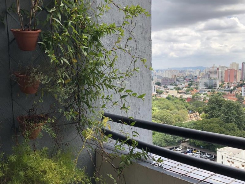 Apartamento à venda Alto de Pinheiros com 49m² e 1 quarto por R$ 670.000 - 637874237-bfjge5589.JPG