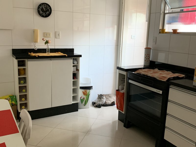 Apartamento à venda Campo Grande com 70m² e 2 quartos por R$ 345.000 - 353585386-ee669df0-b611-4a9d-8399-35da4bc465b6.jpeg