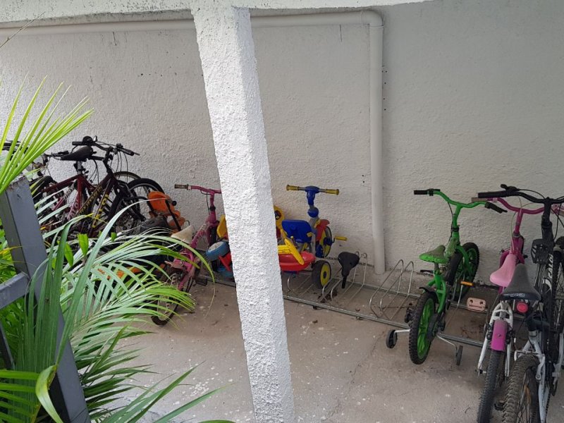 Apartamento para alugar Vila Amália (Zona Norte) com 48m² e 2 quartos por R$ 1.000 - 311792612-whatsapp-image-2019-03-13-at-08.jpeg