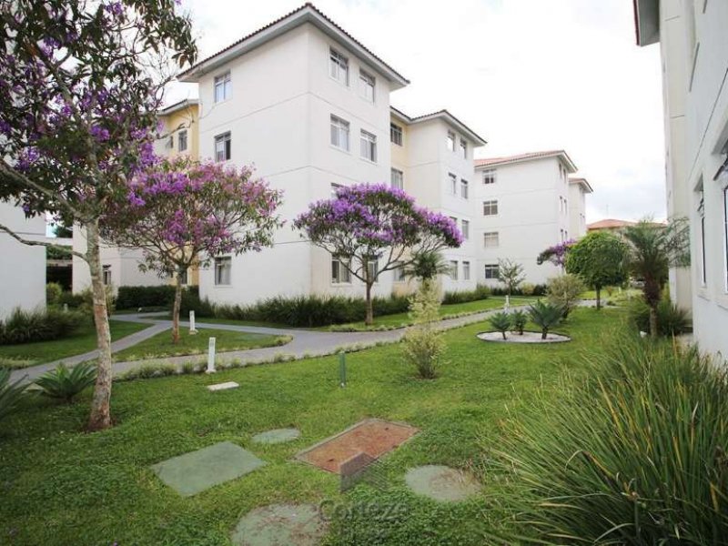 imóvel com 57m² - Braga - São José dos Pinhais