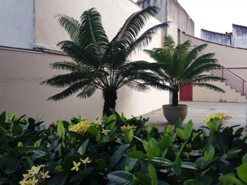 imóvel com 86m² - Martim de Sá - Caraguatatuba