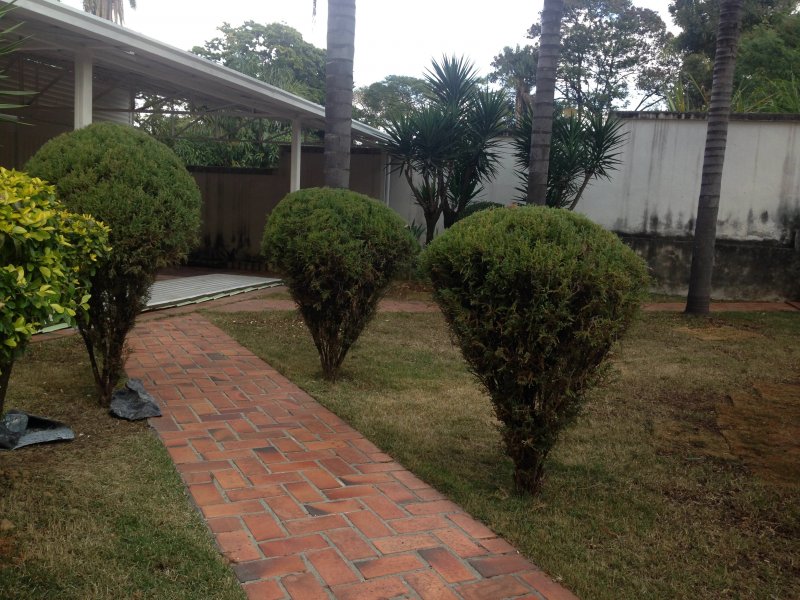 imóvel com 404m² - São Luiz - Belo Horizonte