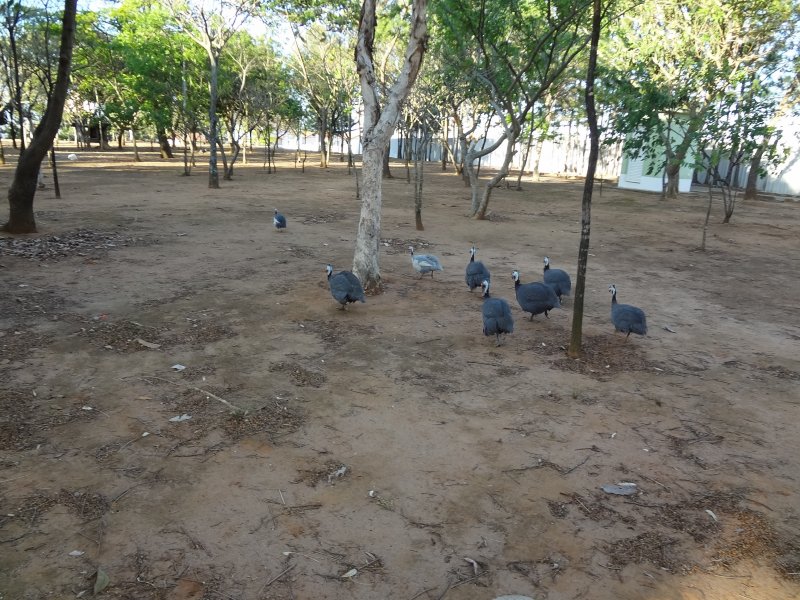 imóvel com 68m² - Cidade Vista Verde - Sao Jose dos Campos