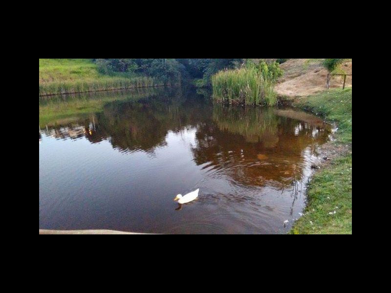 Terreno à venda Centro com 770m² e  quartos por R$ 99.900 - 466090094-472521031117050.jpg