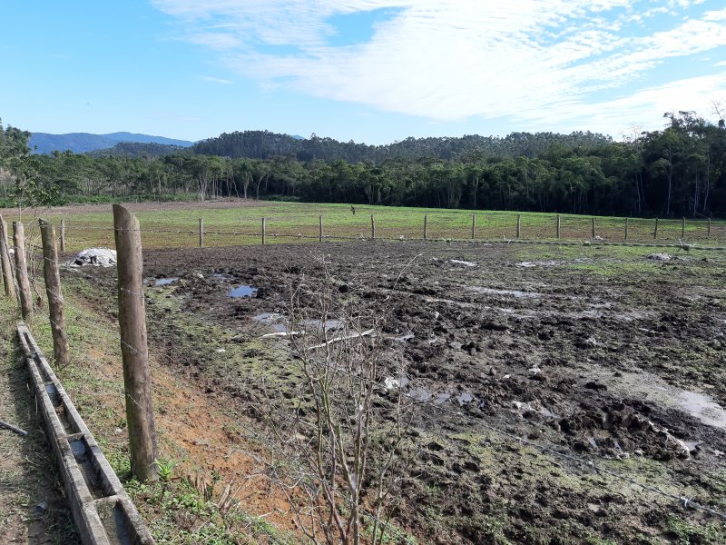 imóvel com 1000000m² - Centro - Itapoá